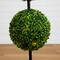 3ft. LED UV Resistant Double Ball Boxwood Topiary in Decorative Planter